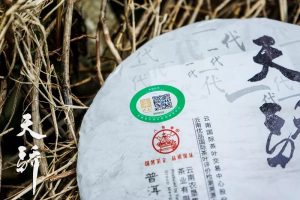 黔茶之涧现货交易中心：五位一体模式重塑茶产业格局